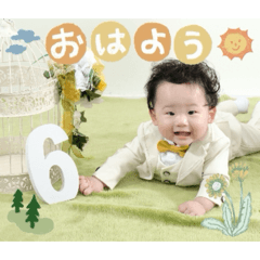 Yuzu_20260223164925