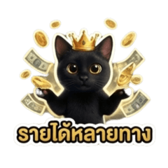 Tom Suriya_20260223150618