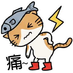 Shedding Cat:(3)Home life terms