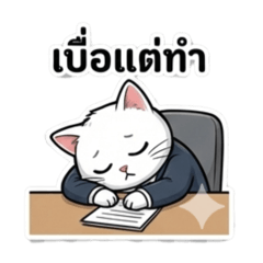 Tom Suriya_20260223154315