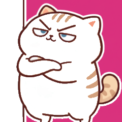 甘えん坊の茶トラ猫