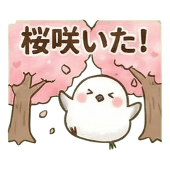 春うらら♪超ゆるシマエナガ32
