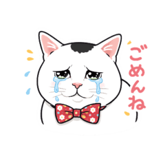 meimei_20260223190439