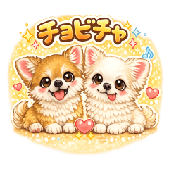 Chobicha Daily Cute Chihuahua