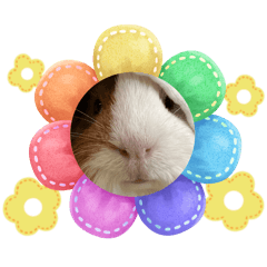 Meimei_20260223205402