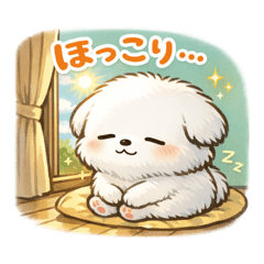 Shiro- the white dog - favorite place