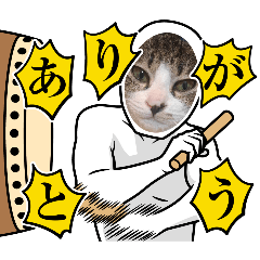 miyuyu_20260223204139