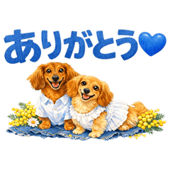 siesta de luna_20260223204737