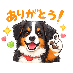 suu mofu_20260223220626