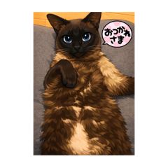 Amazones anko_20260224013805