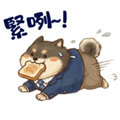 呆萌三柴上學去