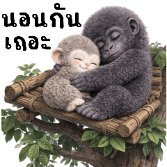 ลิงน้อยกับสหายกอลิล่า❤️(บิ๊ก)