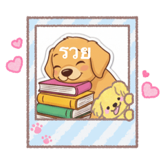 Jakkit kilndokkaeo_20260223165126