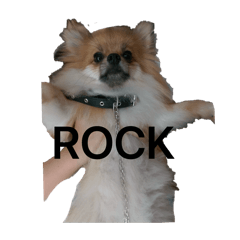 TATSUMI_20260223142353