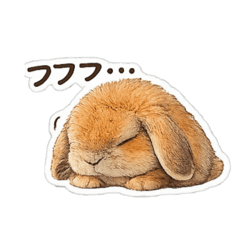 aminchi_20260223202621