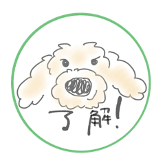 okara_20260223150746