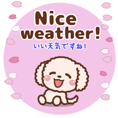 Move! Spring Poodle Talk [ ENG & JPN ]