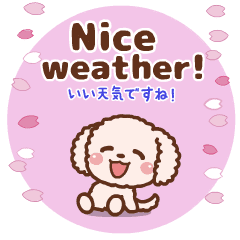 Move! Spring Poodle Talk [ ENG & JPN ]