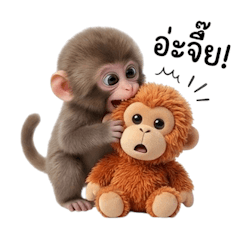 ลิงหิมะญี่ปุ่นขี้เหงา 2