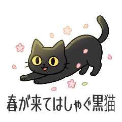 20260223CAT3