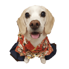 kojirou_20260223214017