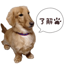 maru stamp_20260223213135