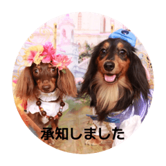 moyashi_20260223214107