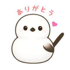 Everyday Shima Enaga