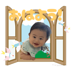 Sumire_20260223223052