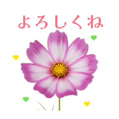ICHI_20260223235158