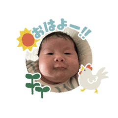 maogorilla_20260224000219