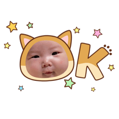 hamham_20260223172659