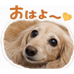 SUMIDA_20260223171859