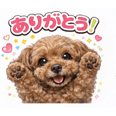 baba3_20260223172130