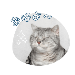 teinton_20260223173203