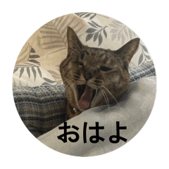 hiropon_20260223172238