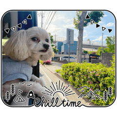 ihciad_20260223172845