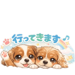 coconoaluna_20260223173231