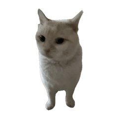 nom_20260223173134