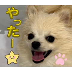 enayuda_20260224014425