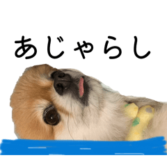 TATSUMI_20260221111730