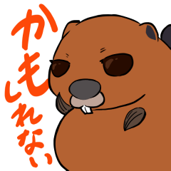 Maybe beaver