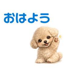 SONASONA_20260223221505