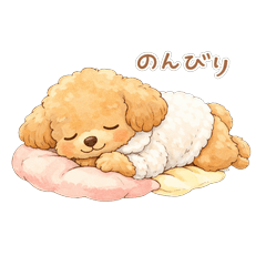 トイプードルの空くん【癒やし＆元気】