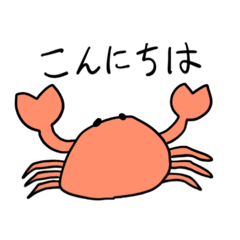 suiren_20260223052259