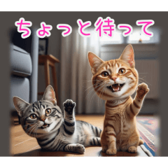 PAKAMOGOLY_20260224123324