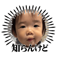 K_20260224093219