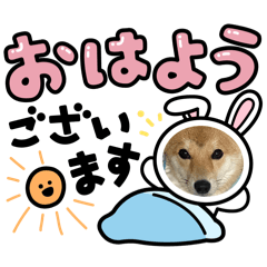 kazunoko_20260224092207