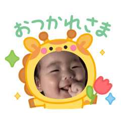 hachi_20260223000339
