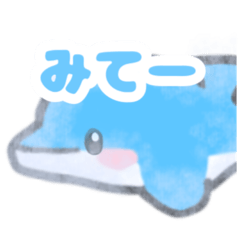 iruiru_20260224095202